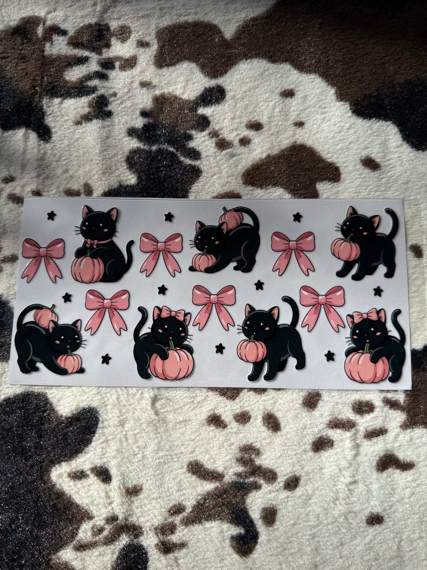 Black Cats & Bows