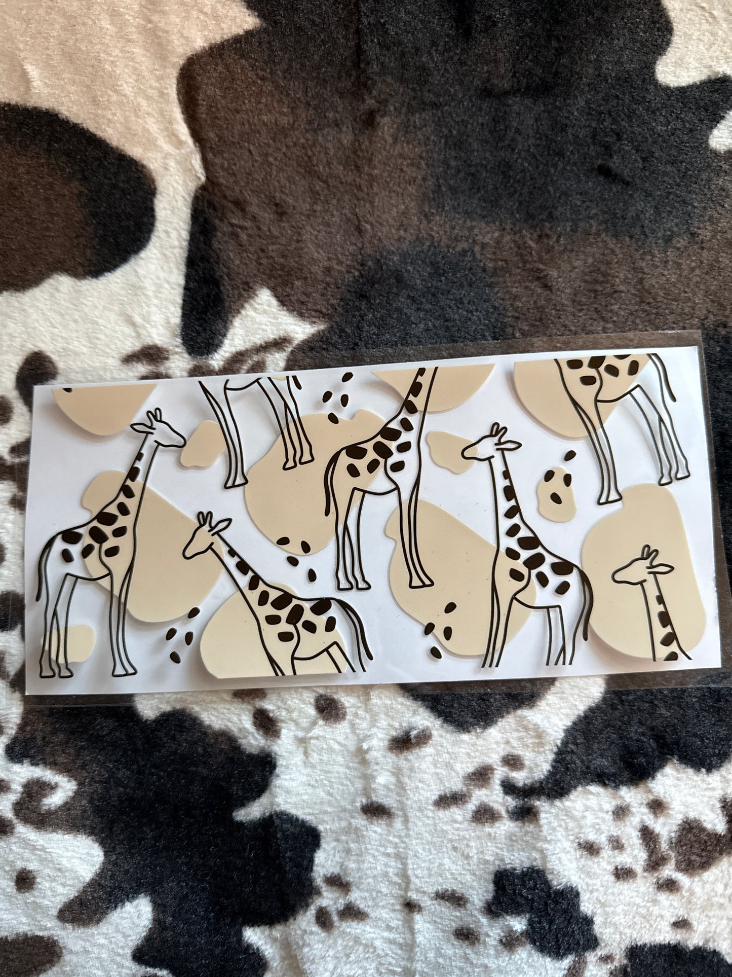 Giraffes