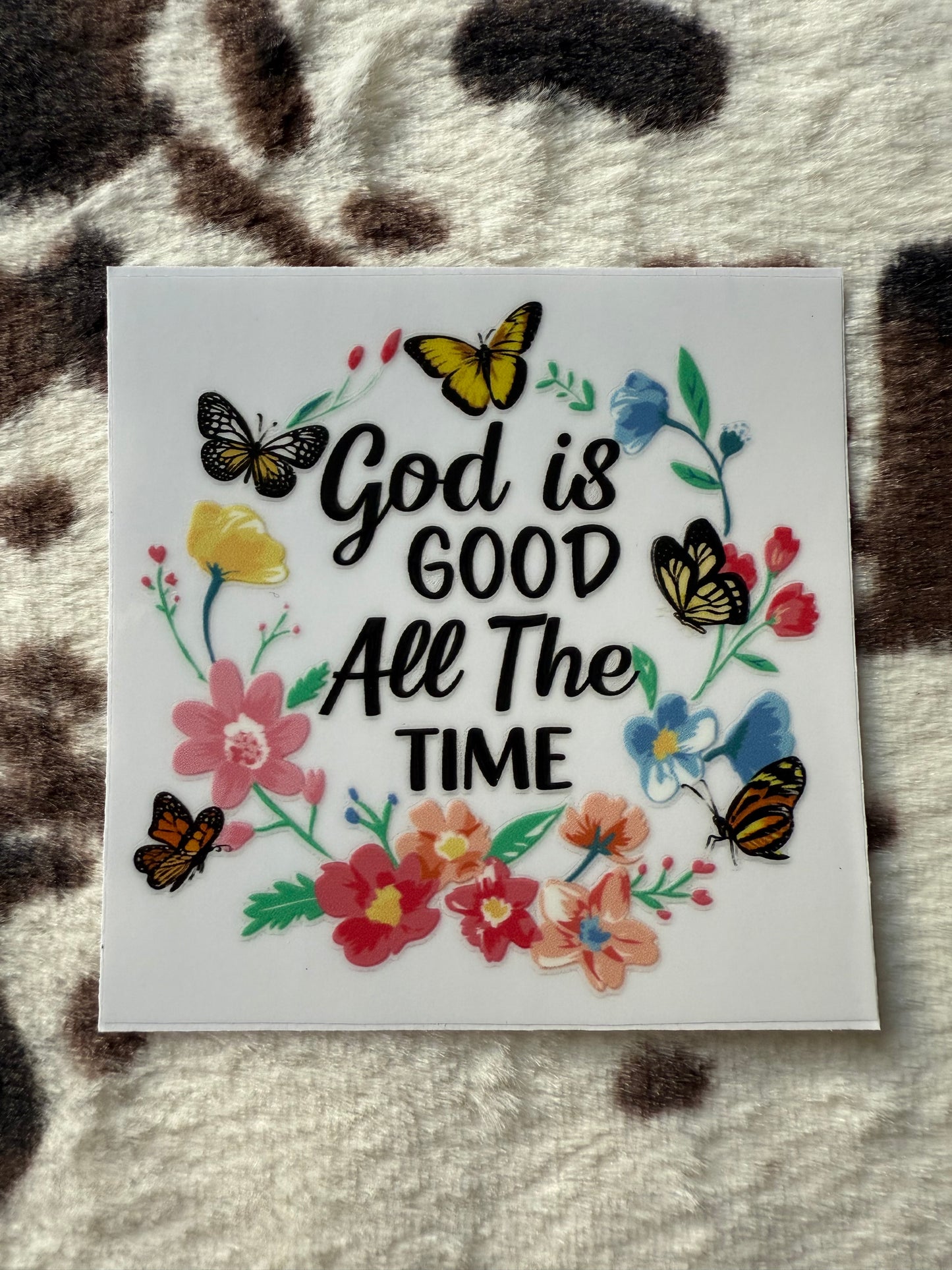 Bible 13