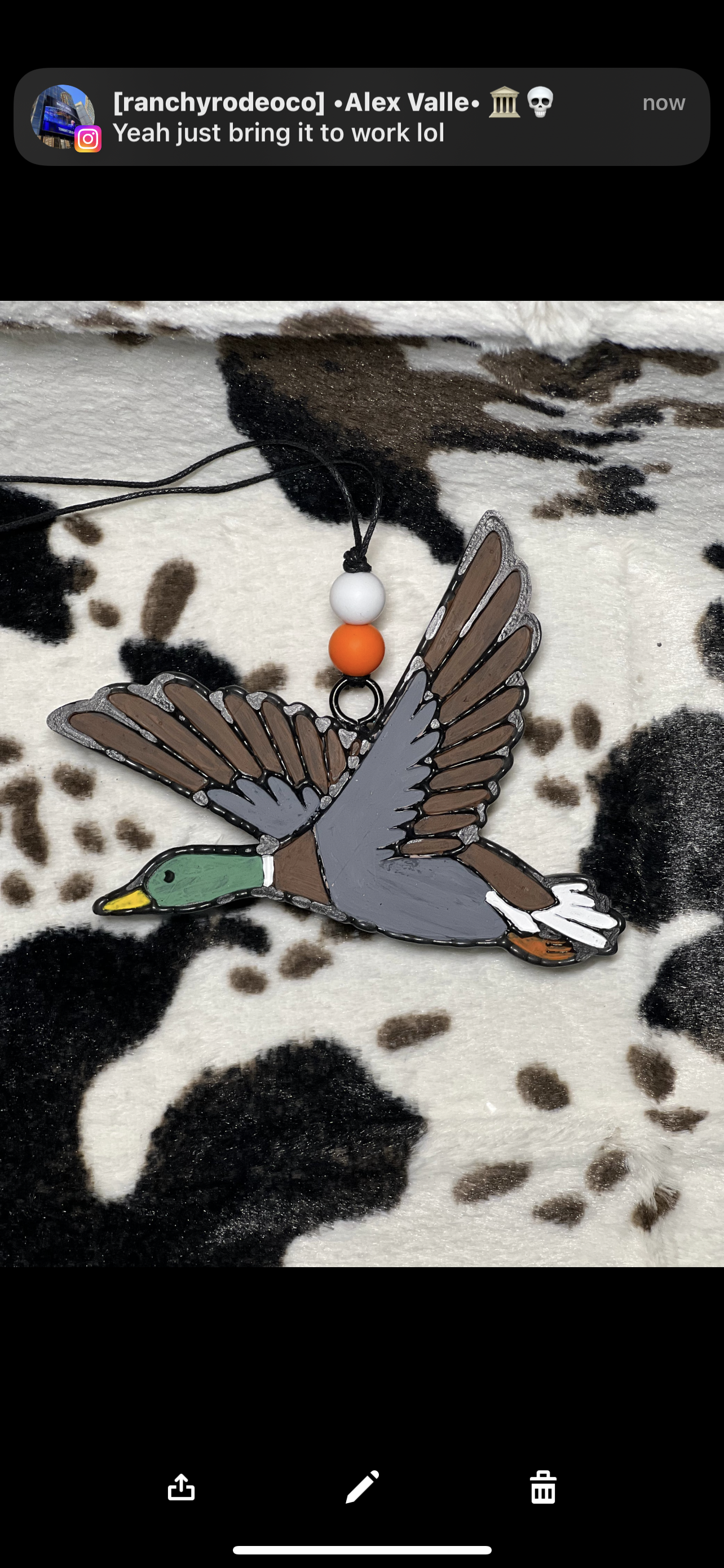 Mallard Duck