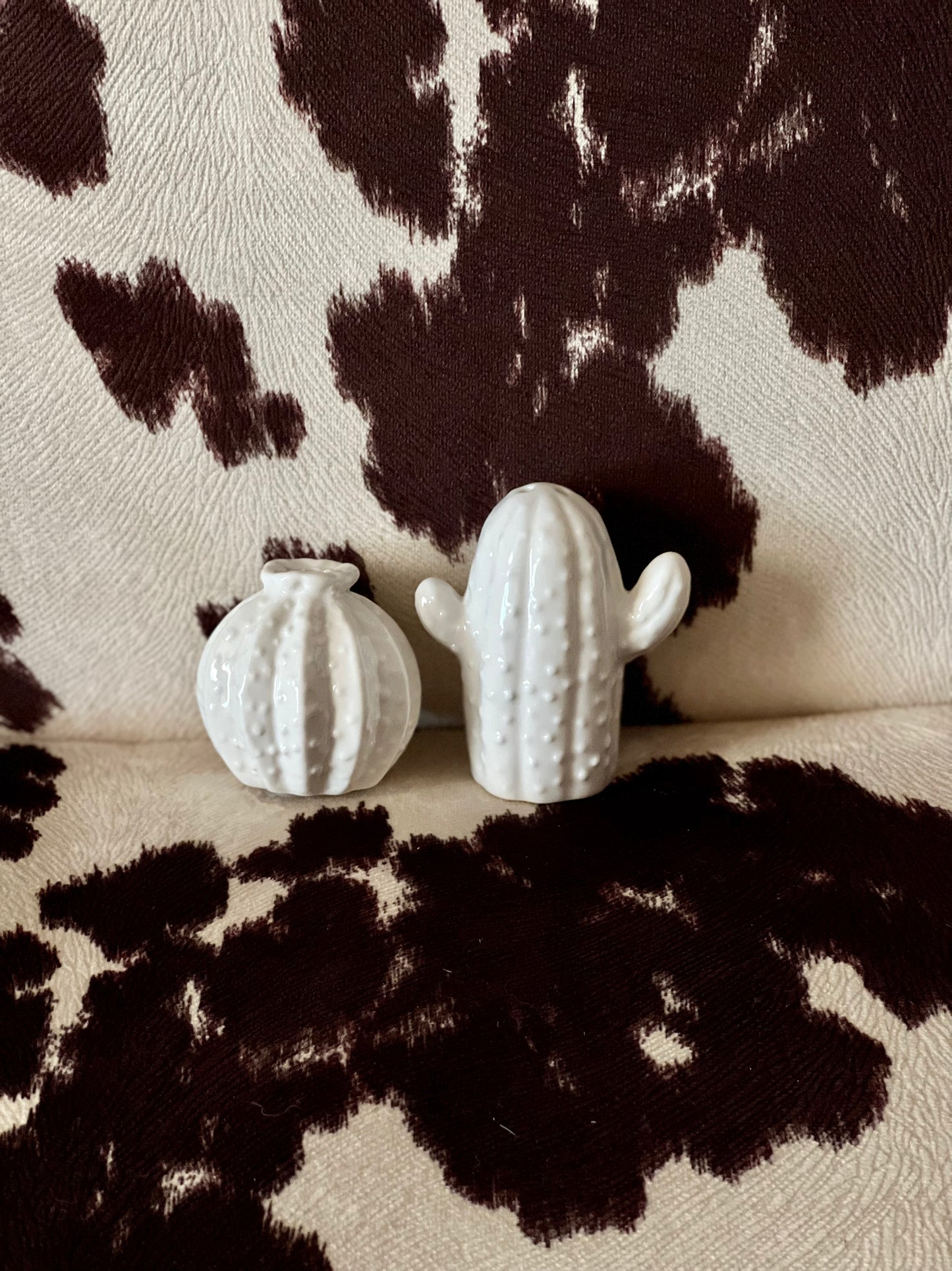 Cactus Salt & Pepper Shaker