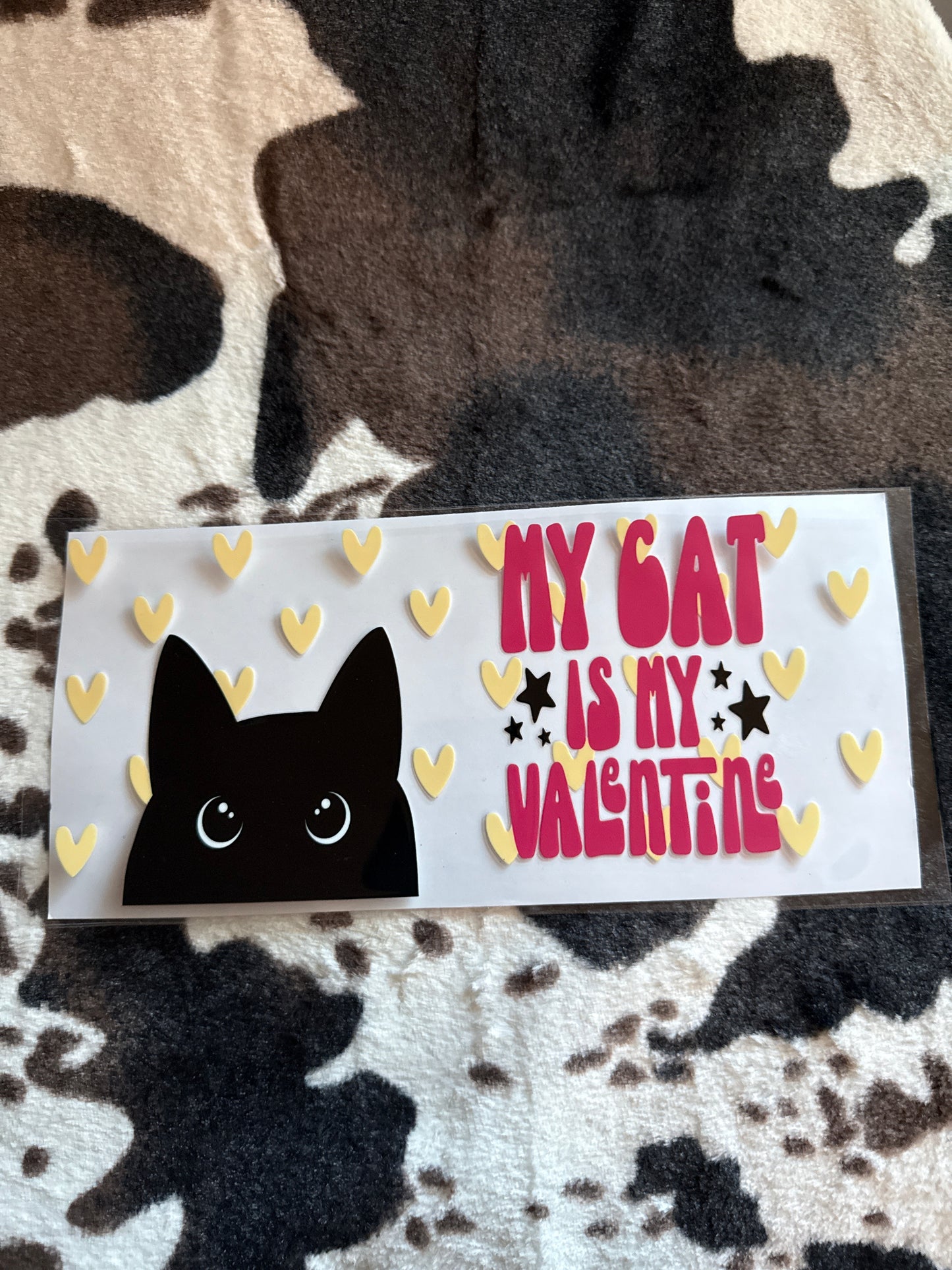 My cat is my valentine