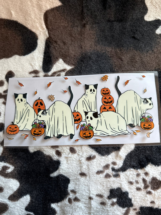 Ghost cats