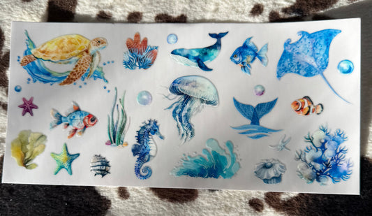 Sea Creatures
