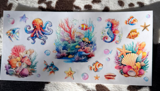 Coral Reef