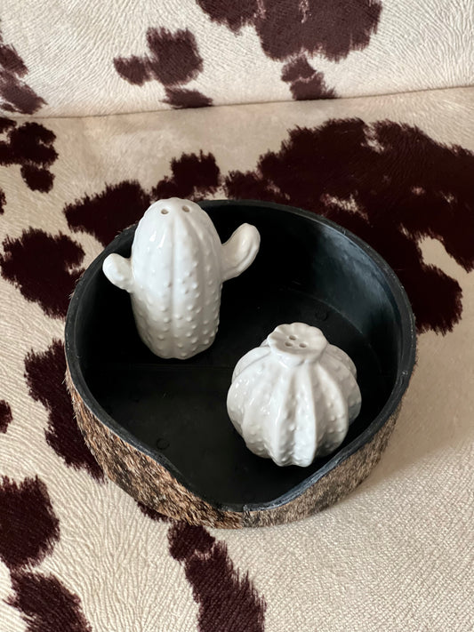 Cactus Salt & Pepper Shaker